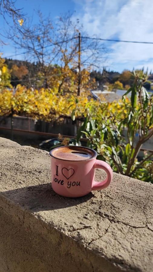 Tbilisi Guesthouse Nini 외부 사진