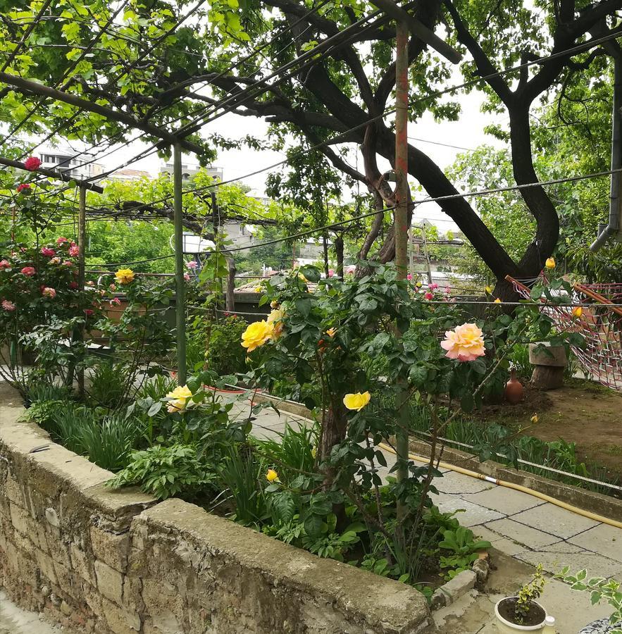 Tbilisi Guesthouse Nini 외부 사진